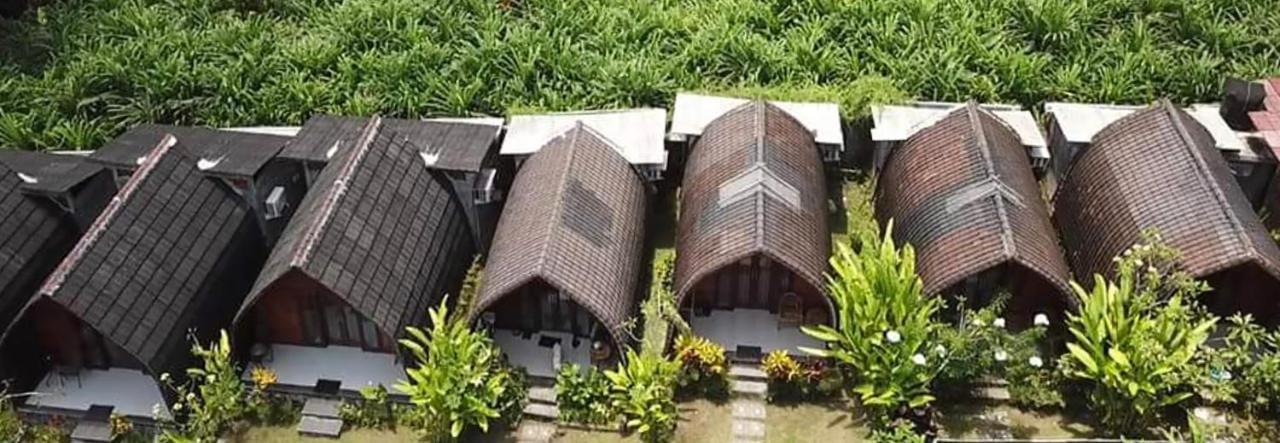 Morning Bali Bungalow Canggu Dış mekan fotoğraf