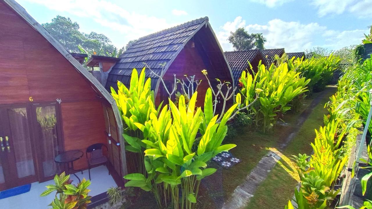 Morning Bali Bungalow Canggu Dış mekan fotoğraf