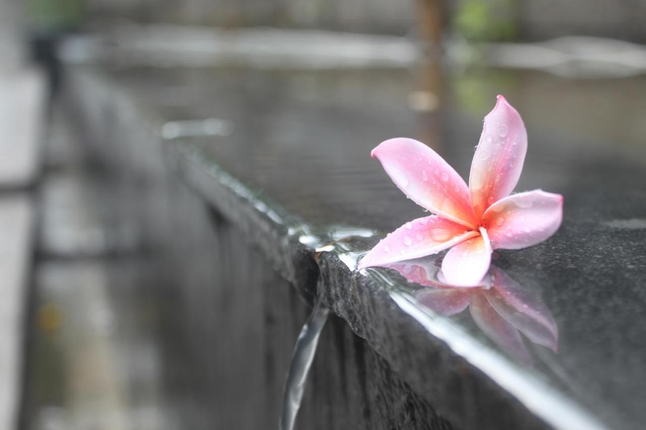 Morning Bali Bungalow Canggu Dış mekan fotoğraf